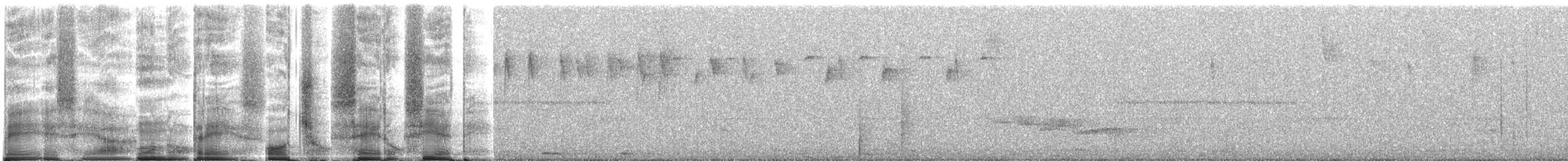 Thraupidae, unbestimmt (tanager sp.) - ML263603