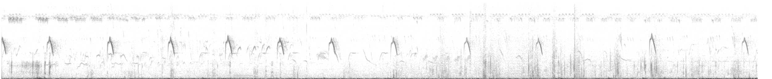 Weißbauch-Mennigvogel - ML263609921