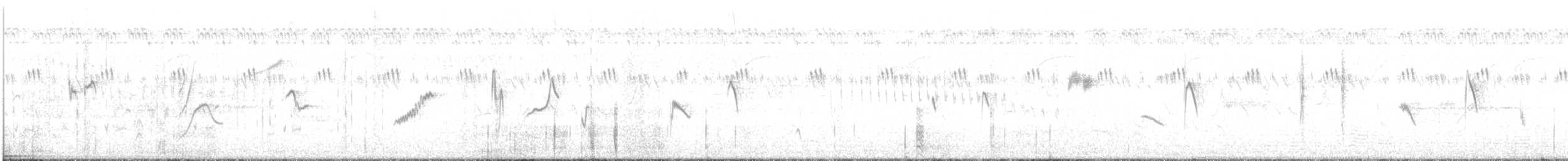 Weißbauch-Mennigvogel - ML263609931