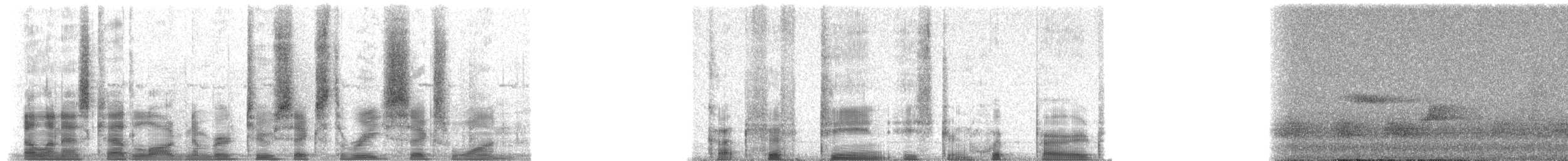 kosovec zvučnohlasý - ML26361