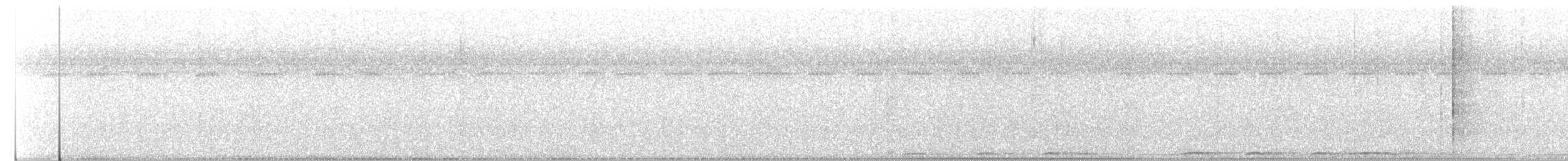 Chouette rayée - ML263633491