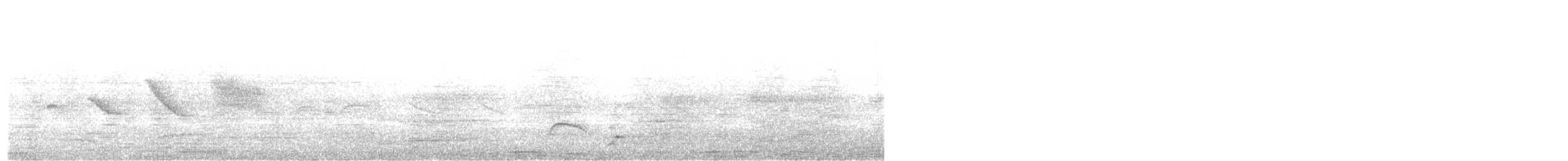 Élénie à cimier blanc - ML263633821