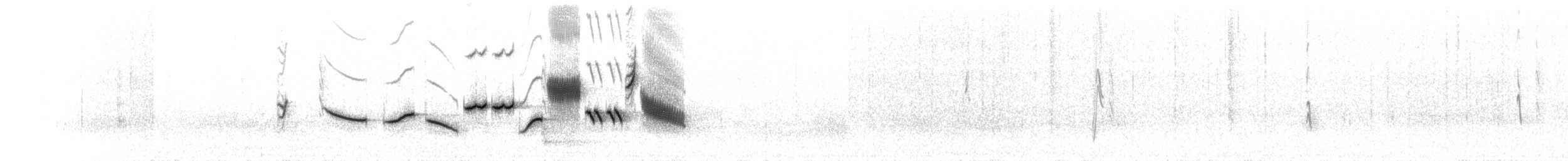 Tilki Renkli Serçe [schistacea grubu] - ML263664841