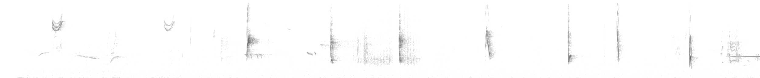 ゴマフスズメ（schistacea グループ） - ML263665241