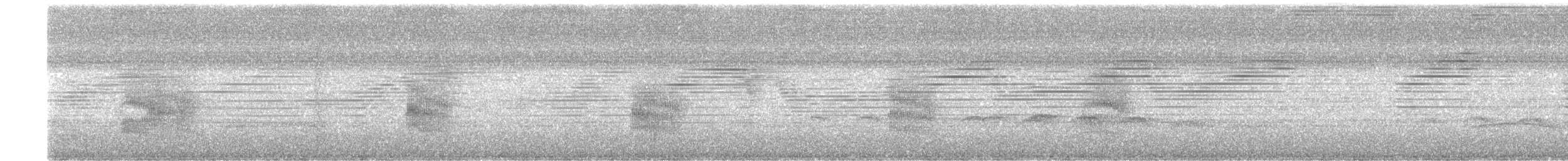 Weißgesicht-Ameisenvogel - ML263692881