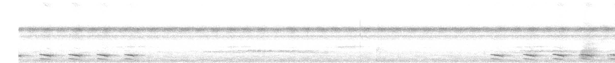 White-shouldered Antshrike - ML263693961