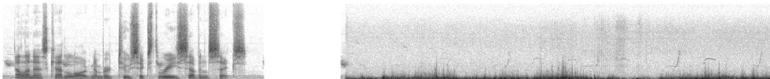 斑胸秧雞 - ML26376