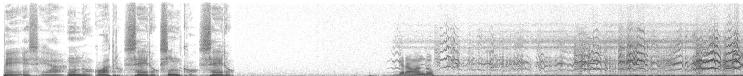 Eupsittula/Aratinga/Thectocercus/Psittacara, unbestimmt - ML263846