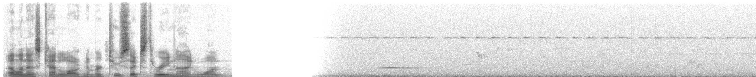 Tinamou cannelle (groupe cinnamomeus) - ML26391