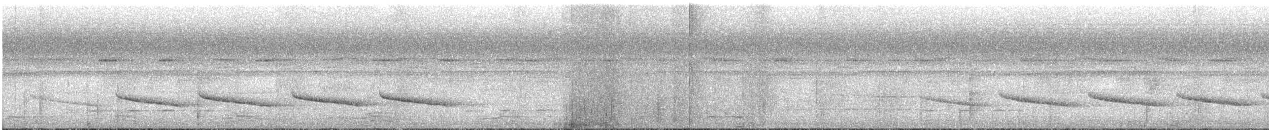 Short-tailed Babbler - ML263952041