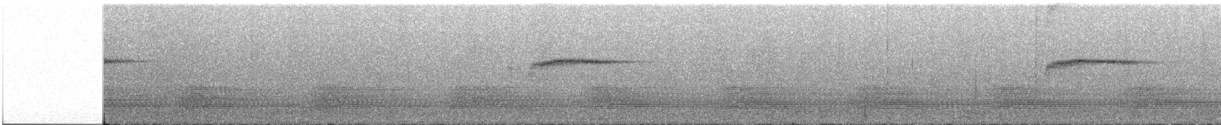 Bornean Forktail - ML263955441