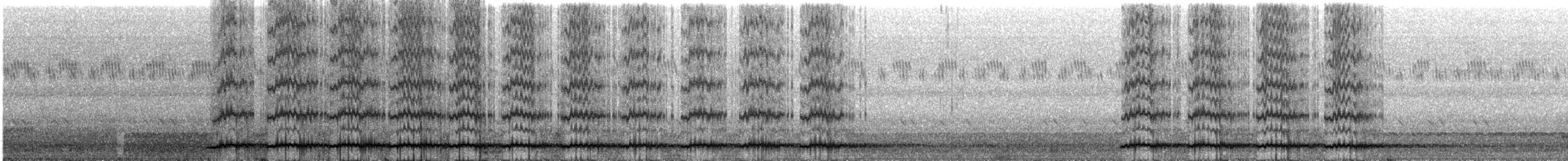 Chestnut-backed Owlet - ML263985771