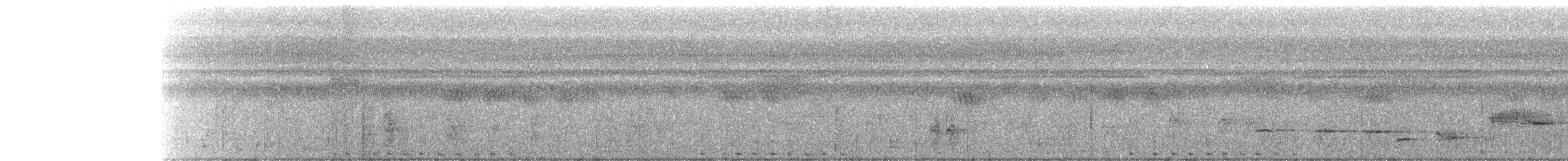 Spotted Buttonquail - ML264112651