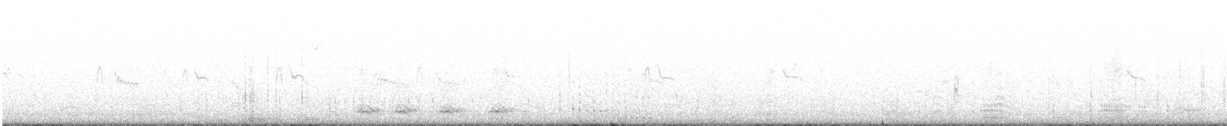 Double-crested Cormorant - ML264113881