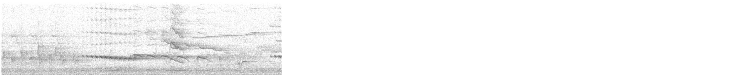 Little Bronze-Cuckoo - ML264123221