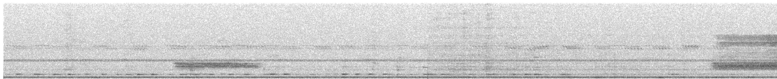 Western Barn Owl - ML264167061