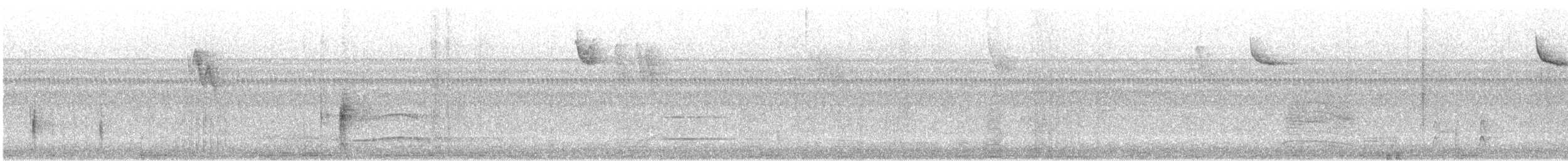 blackbird sp. - ML264190731