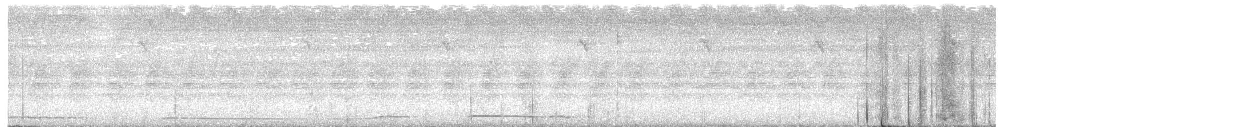 holub klínoocasý - ML264193911