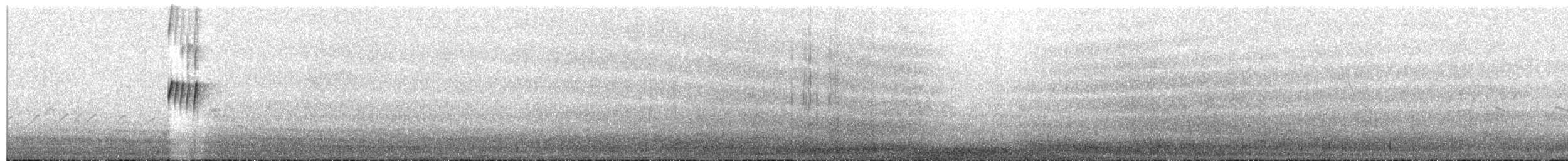 Todirostre familier - ML264283141