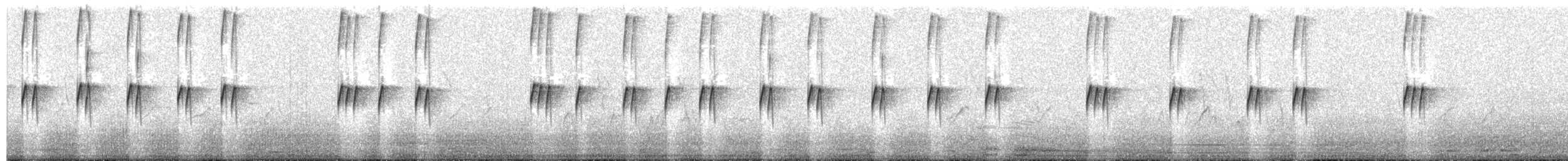 Todirostre familier - ML264283231