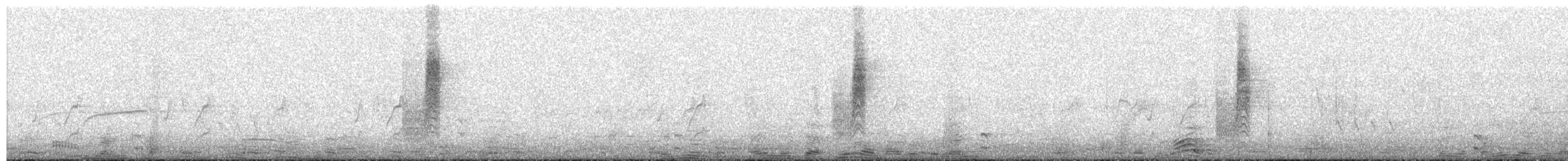 Troglodyte austral - ML264284651