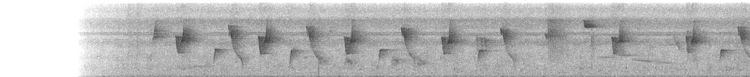 Синеголовая веерохвостка - ML264310411
