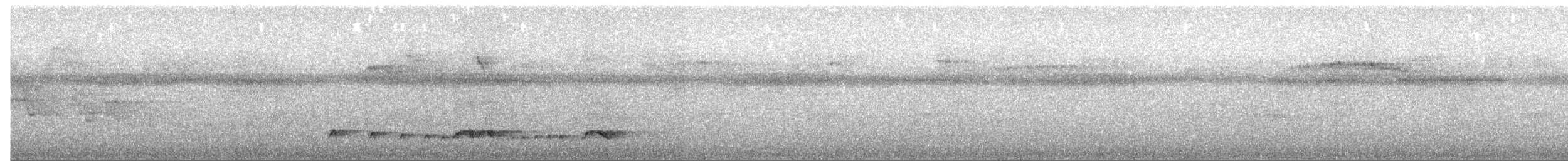 Сероголовая пиприта - ML264351871
