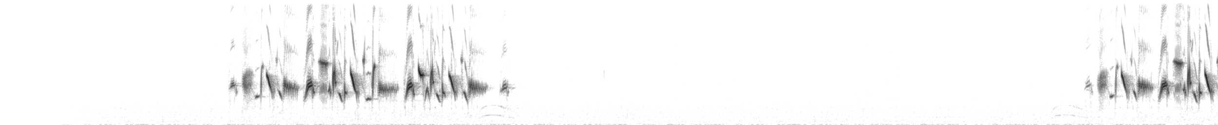 Шалфейная овсянка (canescens) - ML264407811