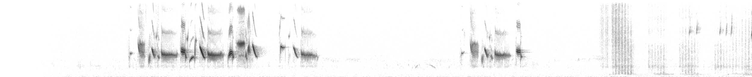 クロフヒメドリ（canescens） - ML264407891