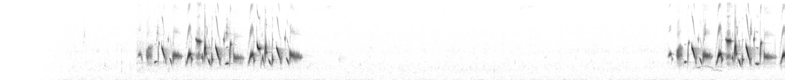 Bell Serçesi (canescens) - ML264407951