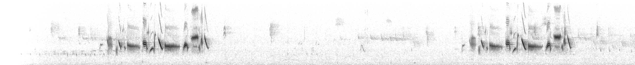 Bruant de Bell (canescens) - ML264407991