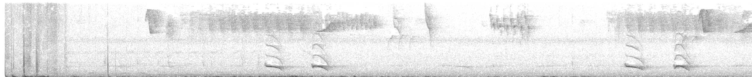 Halkalı Trogon (aurantiiventris/underwoodi) - ML264469691