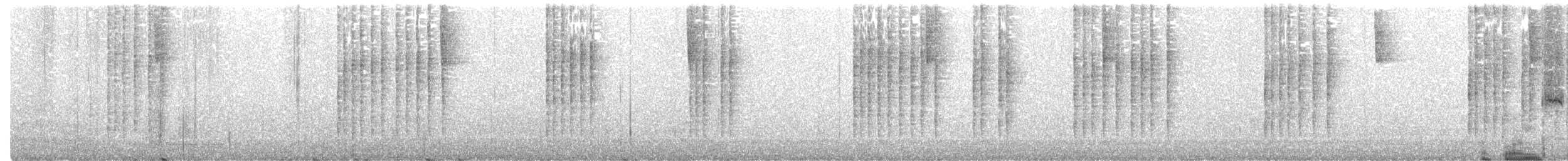 Troglodyte à poitrine grise - ML264470171