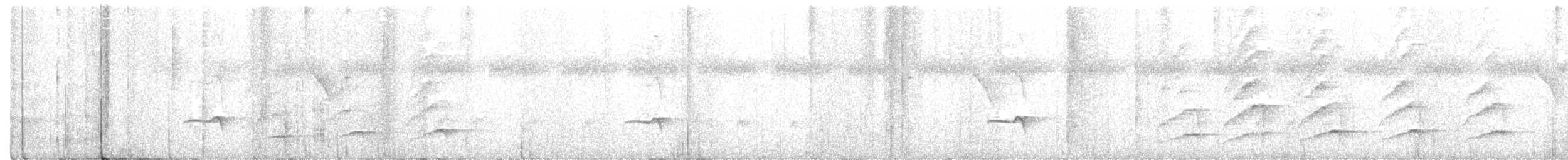 Soluk Karınlı Ardıç - ML264472351