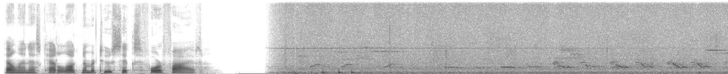 Long-tailed Wood-Partridge - ML2645