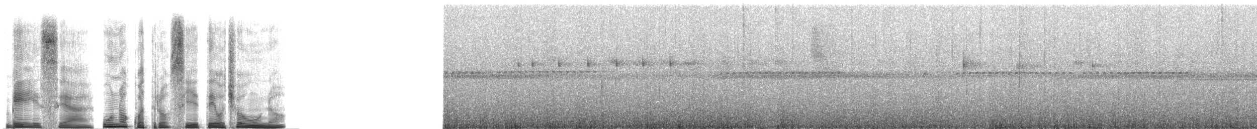 Braunschwanzsittich (pacifica) - ML264534