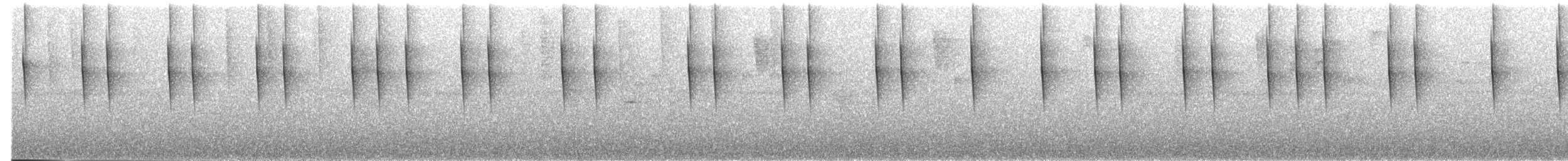 Brown Inca - ML264563