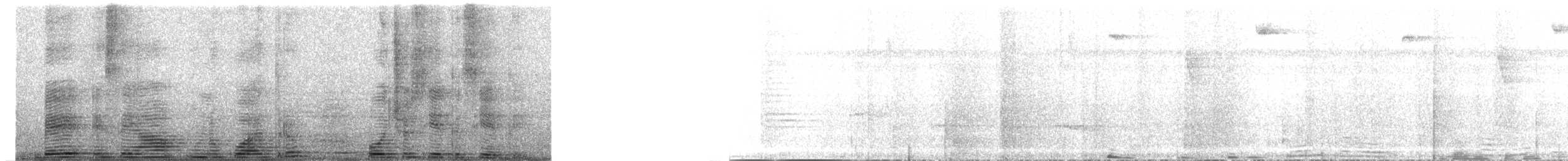 Колібрі гачкодзьобий - ML264630