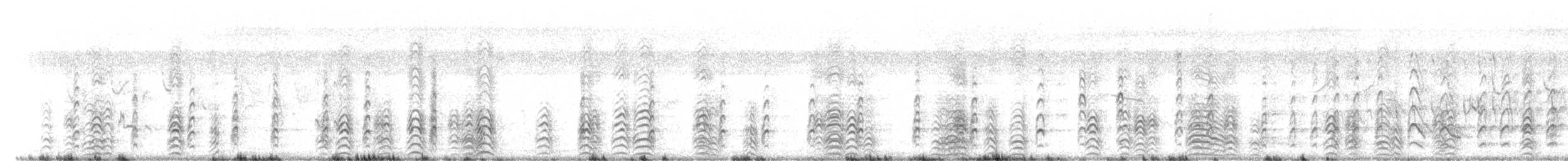 Black Skimmer - ML264718181