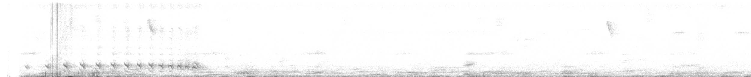 Bar-crested Antshrike - ML264722621