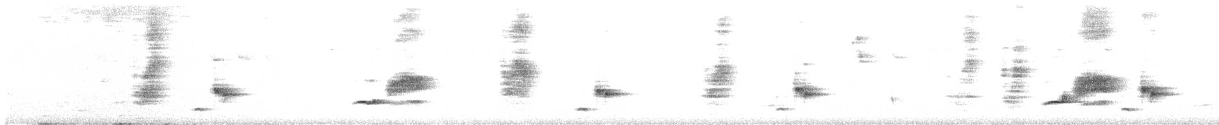 Ak Karınlı Drongo - ML264770571
