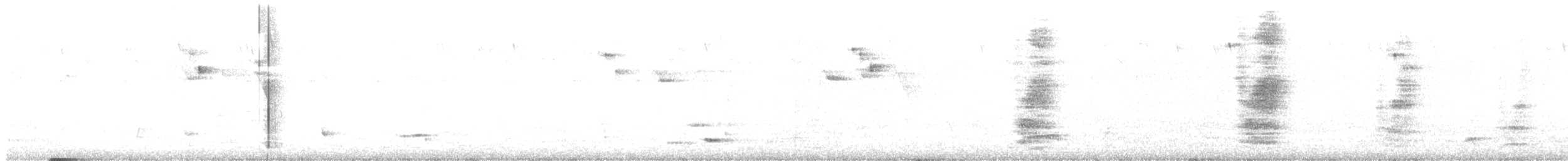 Белобрюхий дронго - ML264770681