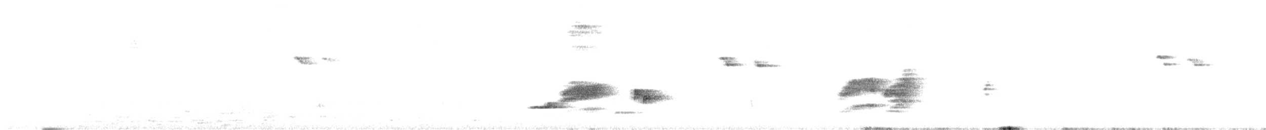 Белобрюхий дронго - ML264770711