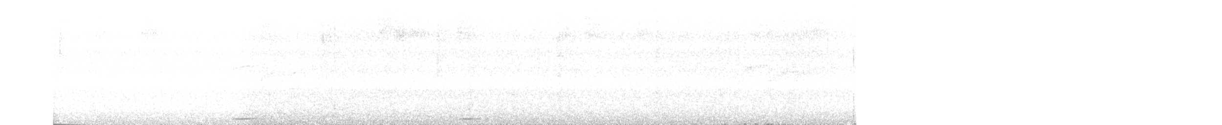 holoubek šedomodrý - ML264847521