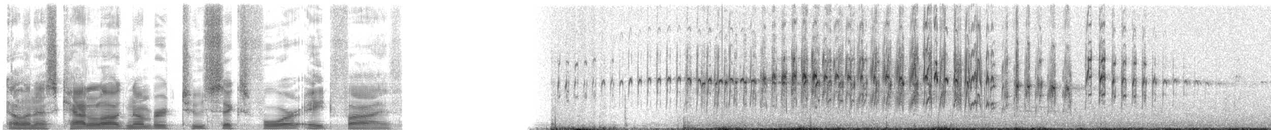 rorýs bělohrdlý - ML26485