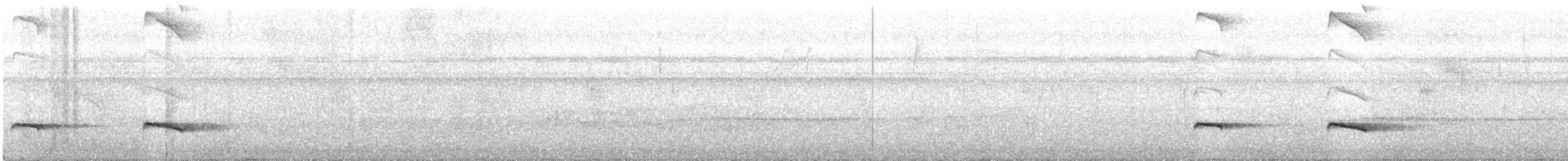 Chestnut-backed Antbird - ML264865581