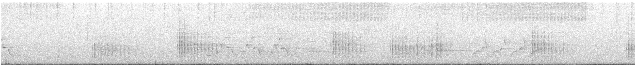 Belted Kingfisher - ML264887241