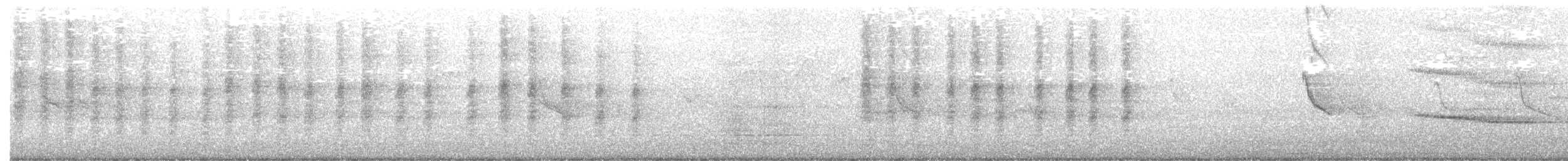 Сибирский жулан (cristatus/confusus) - ML264944071