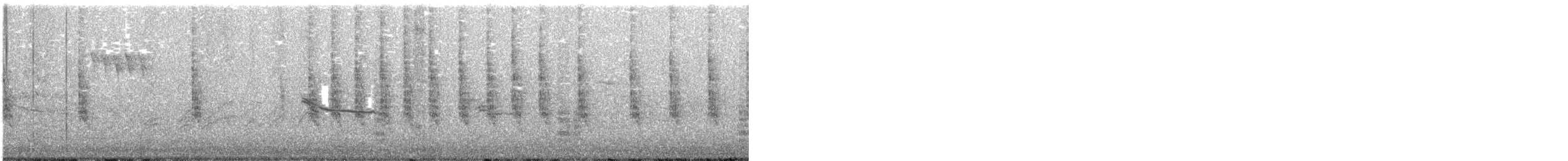 Troglodyte familier (groupe aedon) - ML265024301