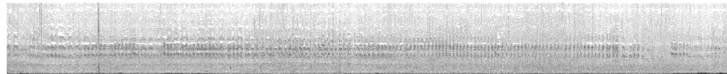 Black Turnstone - ML265029431